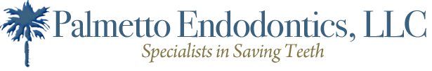 Link to Palmetto Endodontics home page