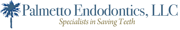 Link to Palmetto Endodontics home page